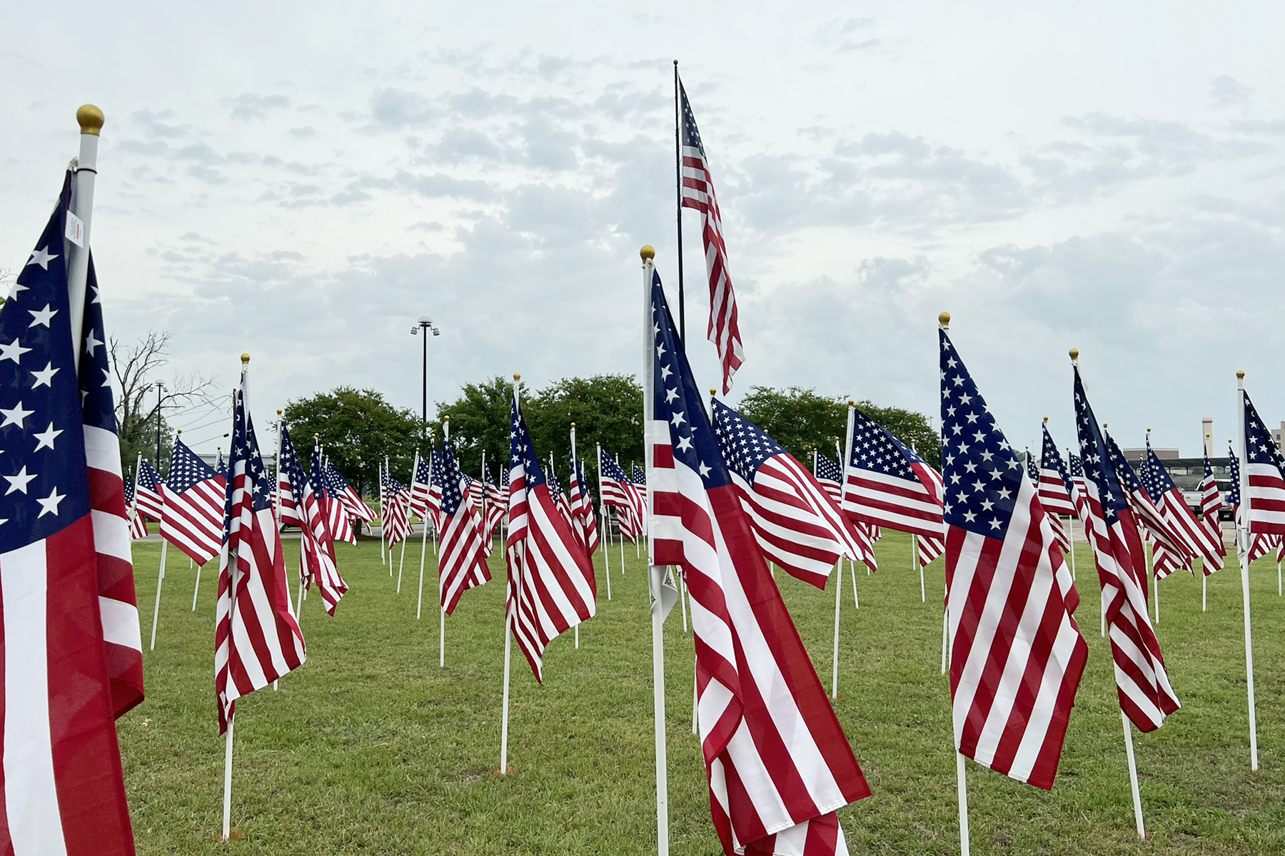 2025 Field of Honor - Click to Participate